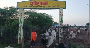 गो सेवकों ने सैकड़ो गोवंश को गौशाला से किया आजाद